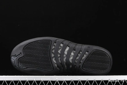 WINTERIZED ANTHRACITE JORDAN BLACK AIR 12 0803